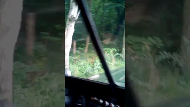 УАЗ 469 моего дружбана Руслана. смотреть онлайн