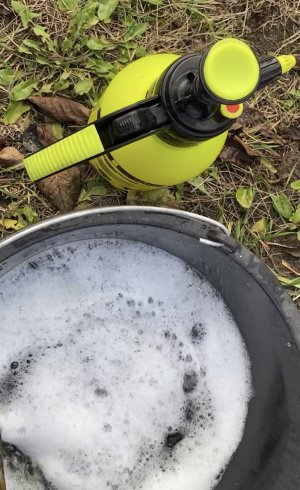 Искореняющая обработка сада от вредителей и болезней.