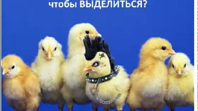 презентация вебинар-шоу"Вебинарный кулинар" смотреть онлайн