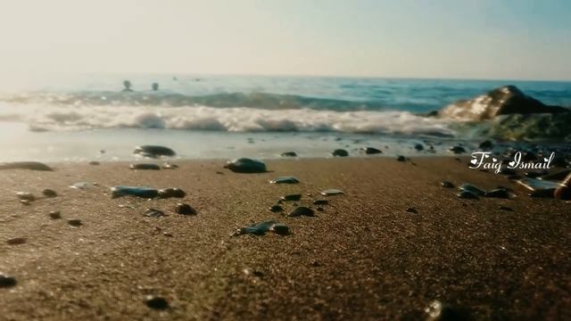 На берегу Каспия Rafiq Babayev Əlvida (Прощай) смотреть онлайн