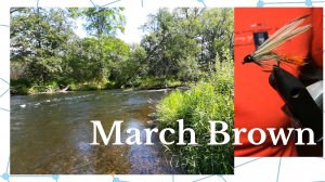 Мушка Мarch Brown