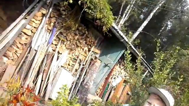 Экскурсия по даче