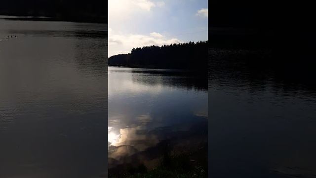 Купить дом, дачу, участок в массиве Дунай, Всеволожский район, Ленинградской области смотреть онлайн