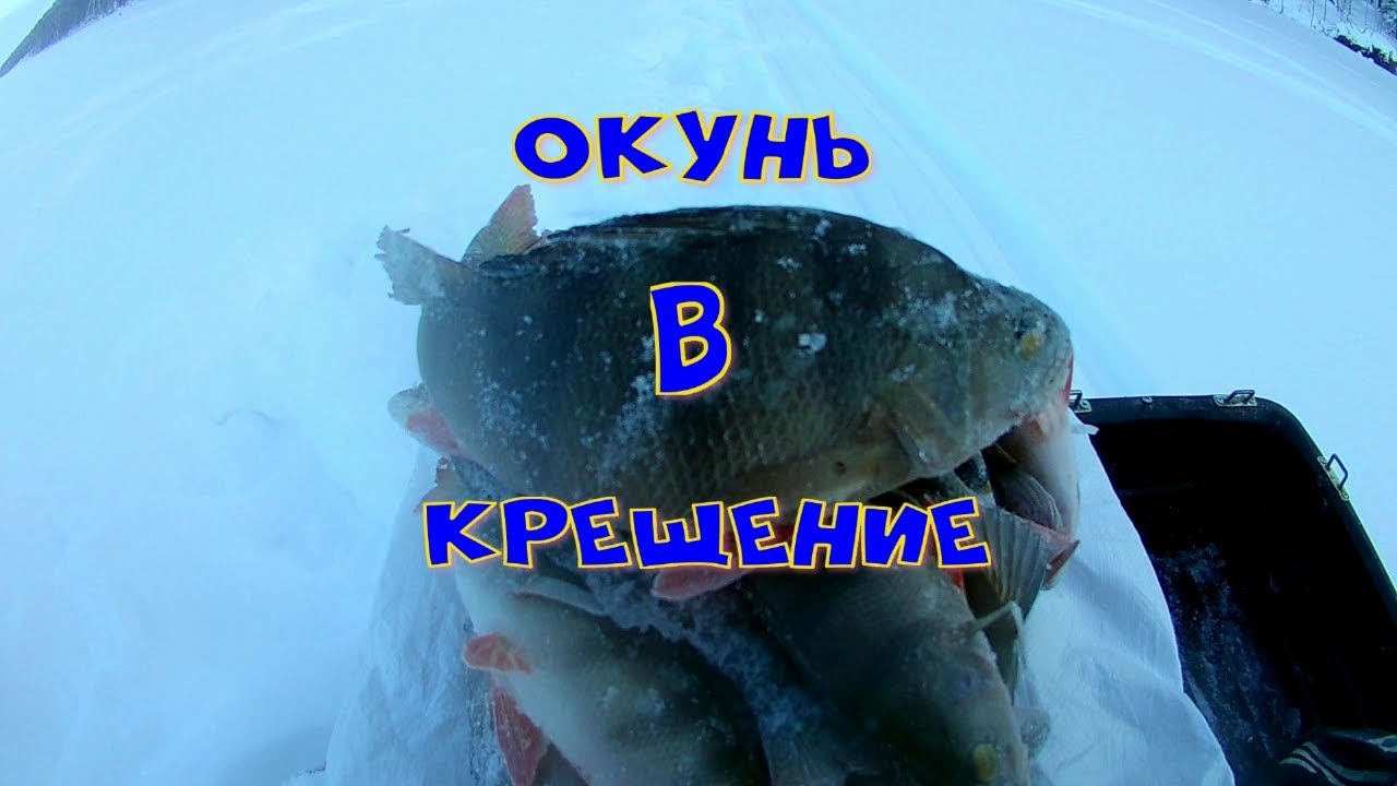 ОКУНЬ В КРЕЩЕНИЕ.mp4 смотреть онлайн