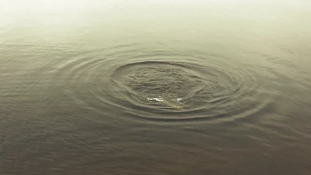 Щука 6.2 кг на REINS BUBBLING SHAKER 4 смотреть онлайн