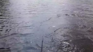 Водный якорь, дрейфовый якорь, якорь парус