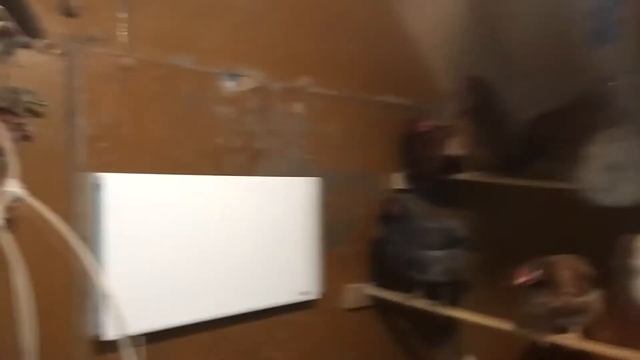 Дешёвый теплый курятник из старого строительного вагончика! смотреть онлайн