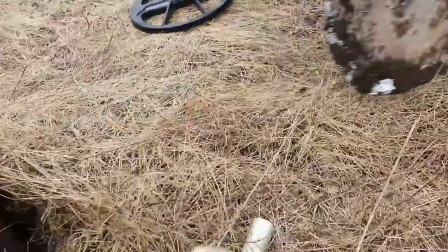 Nokta&Makro LEGEND, Simplex+  коп металла, монет, немецкая крышка, сезон 2022, Мир Украине и России