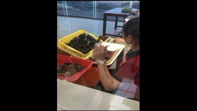 Как выращивают жемчуг во Вьетнаме смотреть онлайн