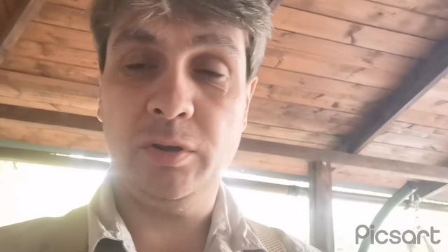 Автозапуск GWM Poer смотреть онлайн