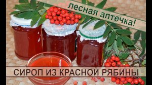 Сироп из ягод красной рябины: рецепт полезной, вкусной заготовки на зиму