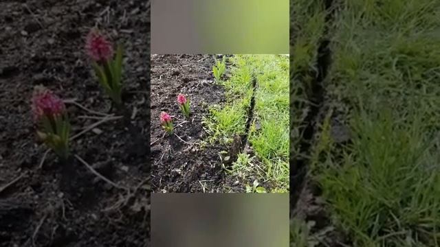 16 мая 2020 г. смотреть онлайн