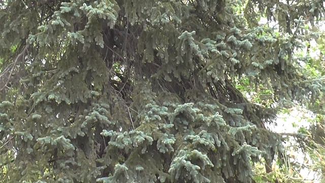 Мариуполь без прикрас.Сквер у драм.театра смотреть онлайн