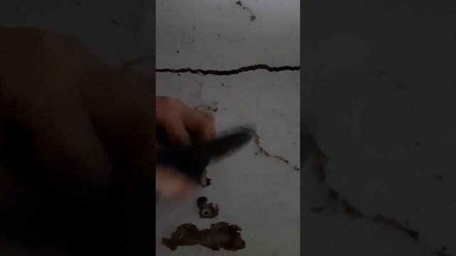 Строительный Компас