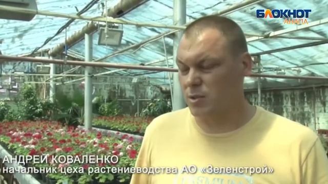 Специалисты "Зеленстроя" в Анапе начали косить траву и высаживать цветы смотреть онлайн