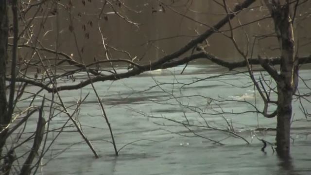 Л. ВЕЛИКАНОВА Молитва о тебе, родной смотреть онлайн