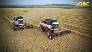 ACROS 550 - самый популярный комбайн в России на сегодня! Уборочная 2019