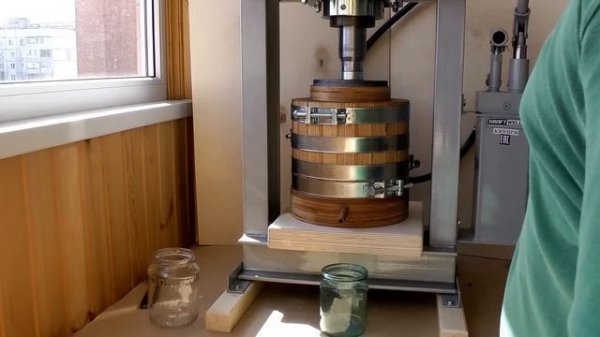 Как сделать подсолнечное масло самому