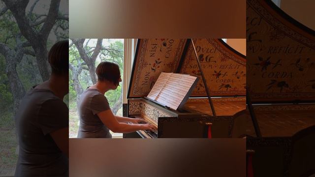 Jan Pieterszoon Sweelinck, Ballo del Granduca, played by Nadia Bohachewsky Soree, harpsichord смотреть онлайн