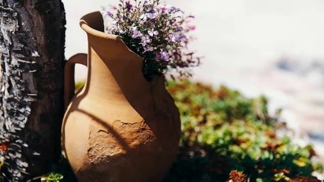 Отель «Морская Феерия» смотреть онлайн