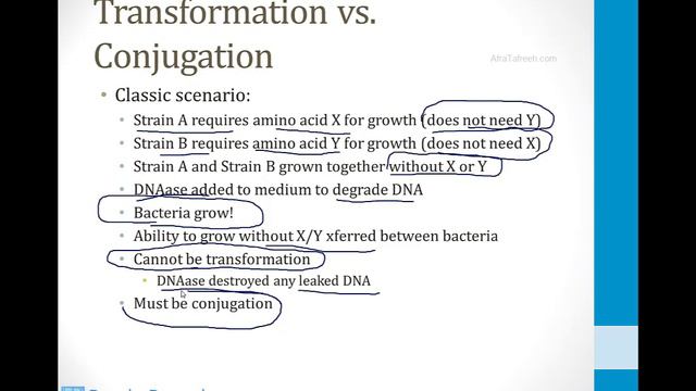 Infectious Diseases - 1. Basics Of Microbiology - 6.Growth And Genetics Atf
