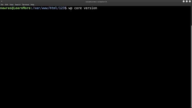 WP CLI : 3- Wordpress Version & Wordpress Update смотреть онлайн