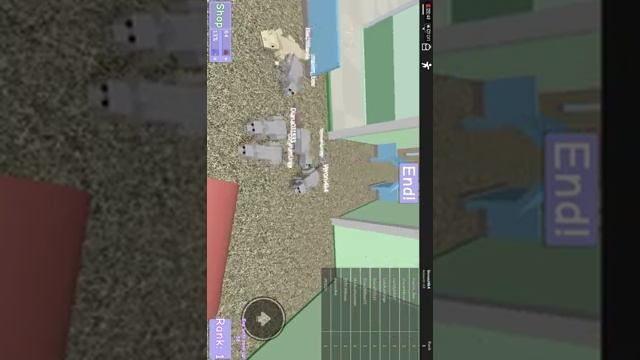 ROBLOX "ПОБЕГ ИЗ МАГАЗИНА" смотреть онлайн