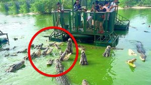 Страшнее Некуда! Это Самые Опасные Острова в Мире