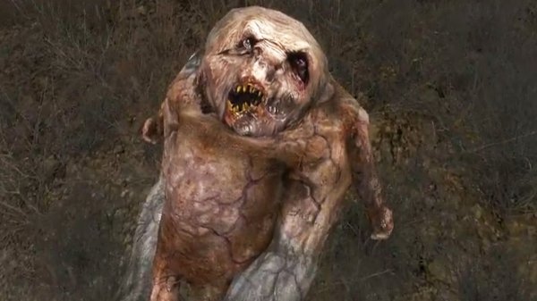 Мэддисон играет в Сталкер Мизери #2