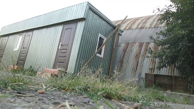 собака плохой аператор смотреть онлайн