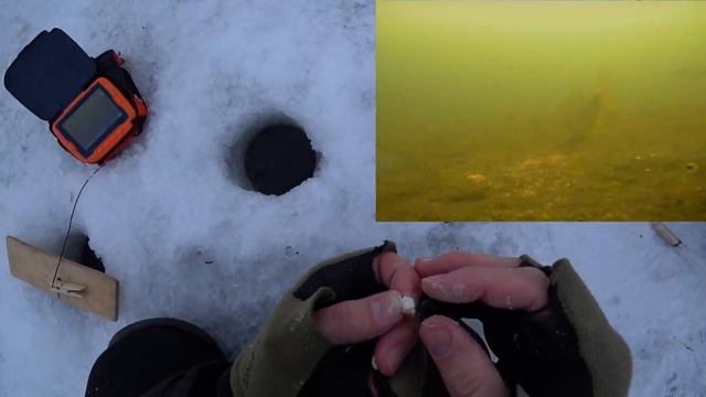 Зимняя рыбалка с подводной камерой Столько рыбы я еще не видел!!! смотреть онлайн