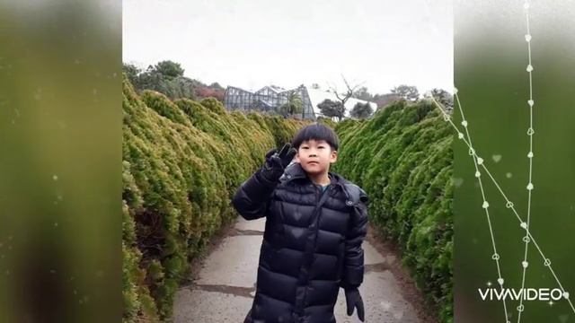 SOUTH KOREA JEJUDO CAMELLIA HILL EXPERIENCE смотреть онлайн