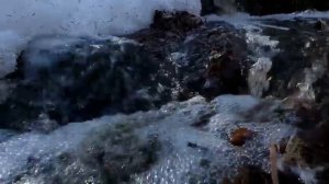 Молитвенное песнопение Соловецкой братии с острова Анзер С КРЕЩЕНИЕМ ГОСПОДНИМ (19.01.2024)