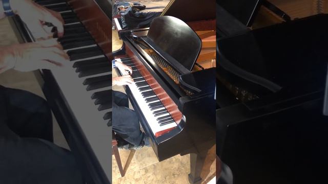 2020 Concert Quality Sound, Falcone 6’ 3” Grand Piano смотреть онлайн