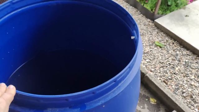 Петуния в саду. Чем кормлю для быстрого роста и обильного цветения. Как и когда поливаю петунии. смотреть онлайн