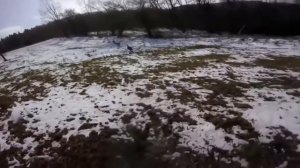 ДИКИЙ КАБАН В ДЕЛЕ | ЧЕМ ОПАСЕН ДИКИЙ КАБАН?