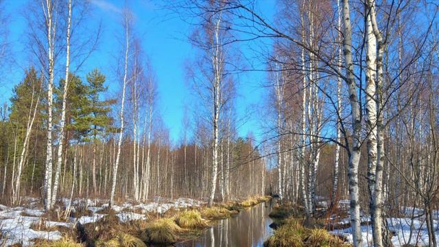 739. ♫ Eric Chen - "From Now On",(Отныне) смотреть онлайн