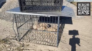 Моя теплица. Делаю сам. Теплица домиком из профтрубы 20х20.