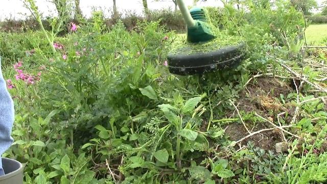 Bosch AdvancedGrassCut 36V Cordless Strimmer Smallholding Alternative To Petrol 2 Stroke