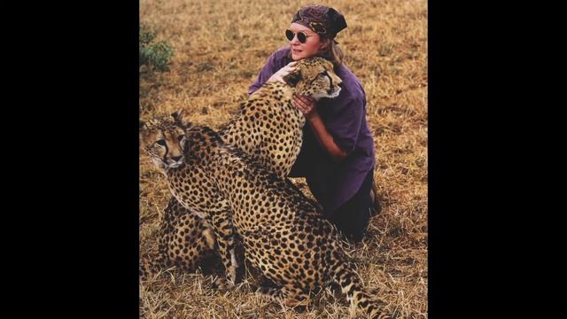 Chinese Big Cats смотреть онлайн