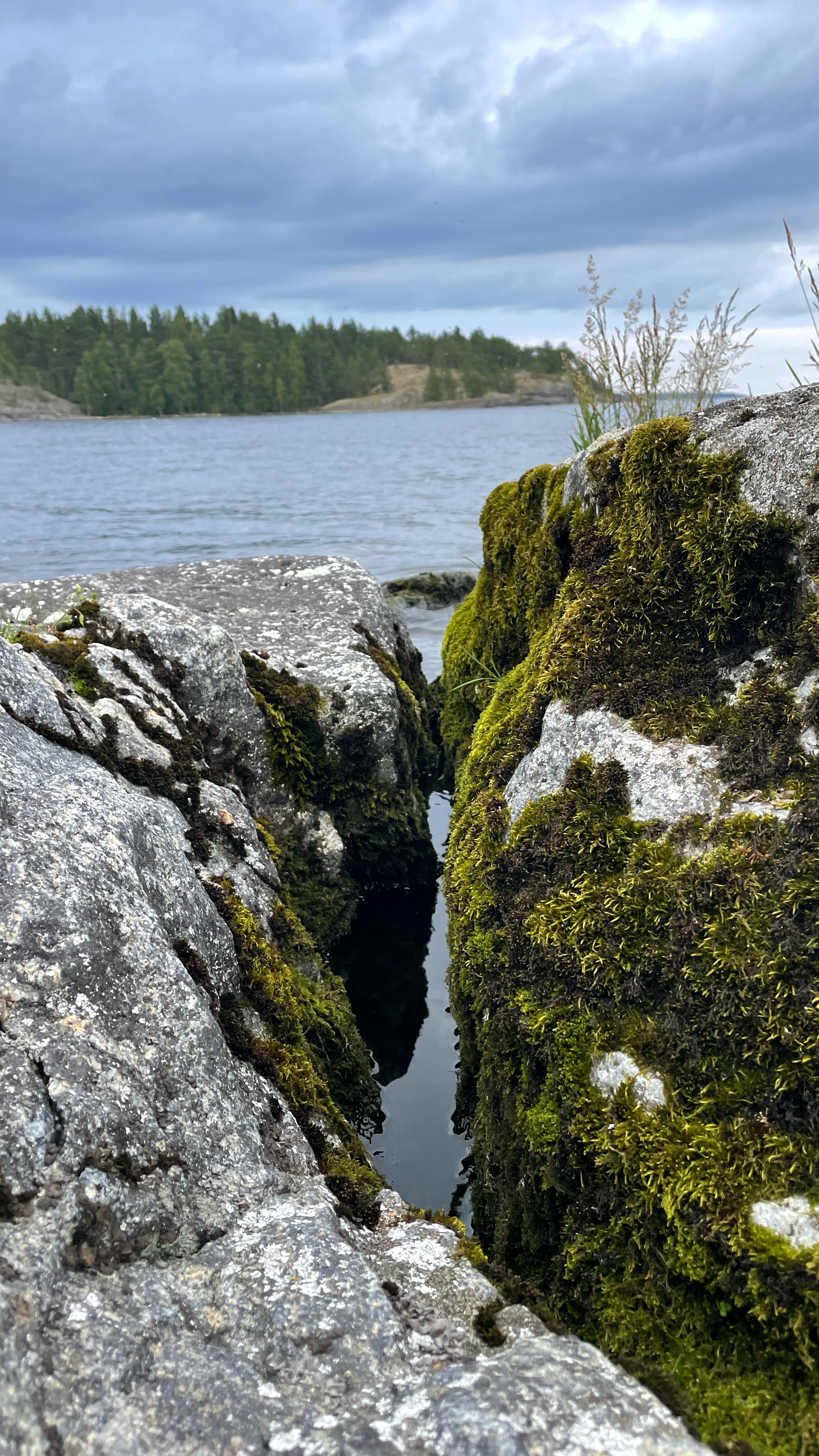 КОМАНДА НА ЛОДКЕ В ЛАДОЖСКИХ ШХЕРАХ смотреть онлайн
