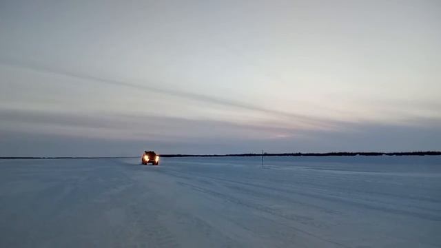 Студик в движении, р.Юмба, Зимник.