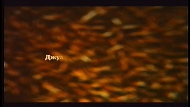 Тутси - титры советской кинотеатральной версии смотреть онлайн