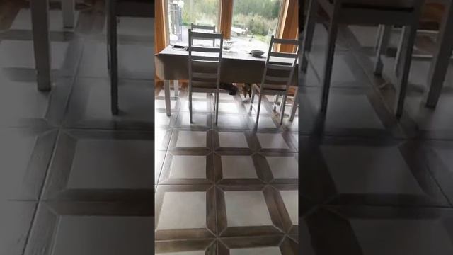 Хорошо, хоть не разбил смотреть онлайн