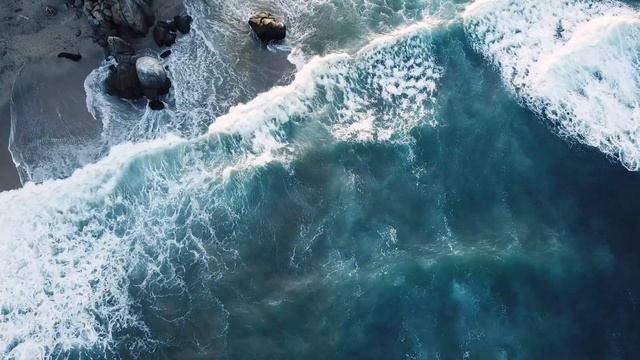 Шахназ Сайн "Внутри меня случился небольшой бардак" смотреть онлайн