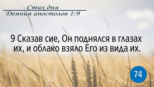 Тефиллин. Деяния 1:9. Повторение стихов 100 раз смотреть онлайн