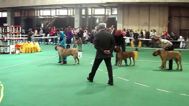 029.MOD смотреть онлайн
