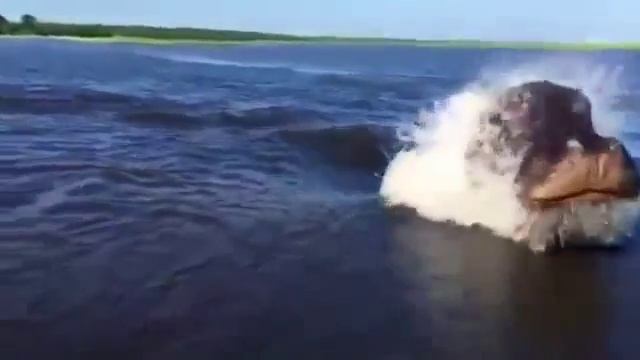 Морское чудовище в реке, Вы такого еще не видели! смотреть онлайн