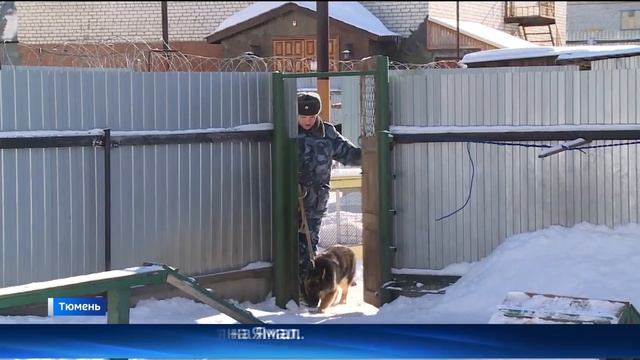 _Вести. Регион-Тюмень_ (15.03.23_14_30) смотреть онлайн