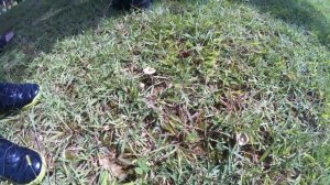 Южная Корея. Граница с Северной Кореей, демилитаризованная зона (ДМЗ).